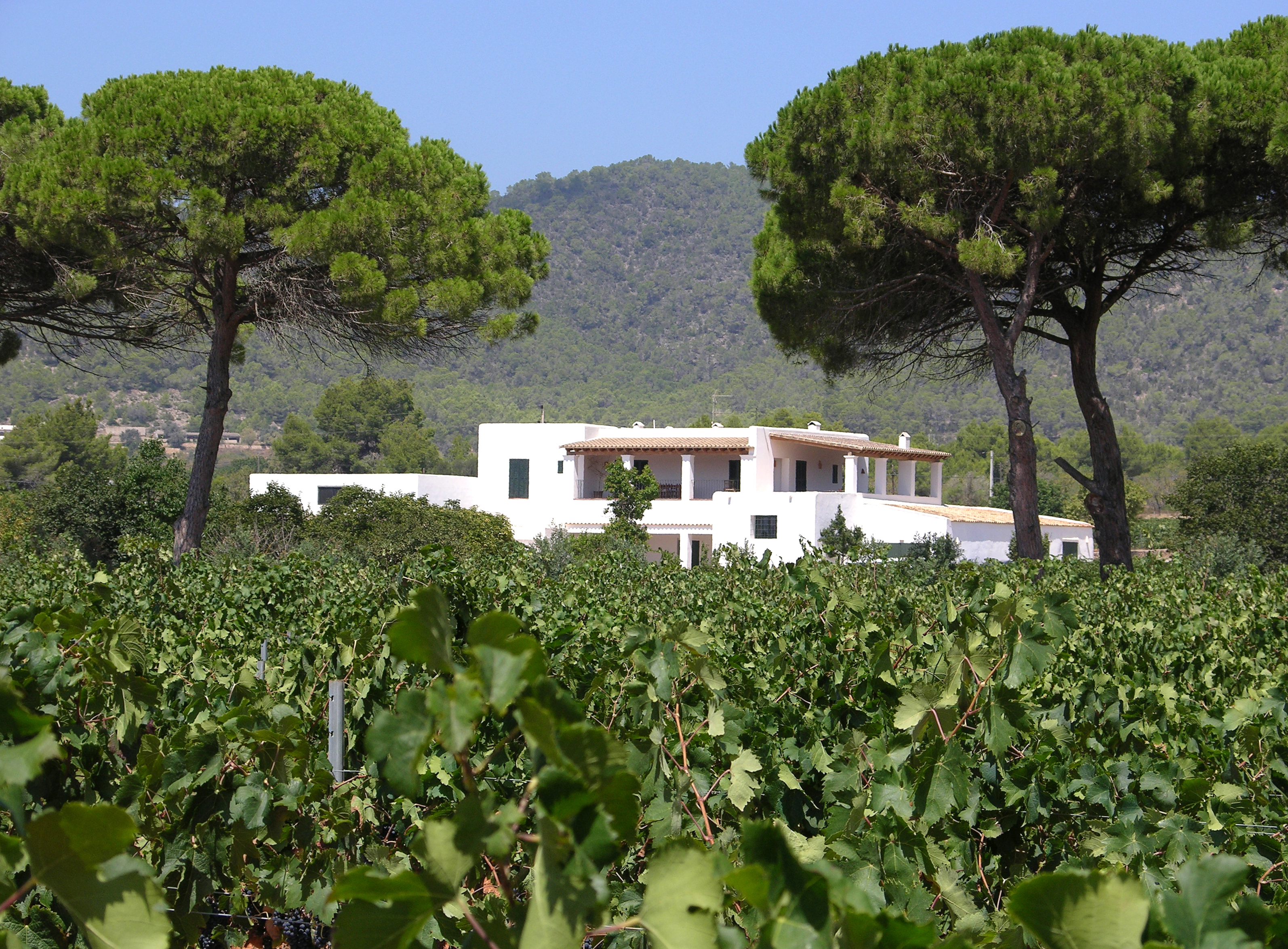 CAN RICH DE BUSCASTELL - Illes Balears - Productes agroalimentaris, denominacions d'origen i gastronomia balear