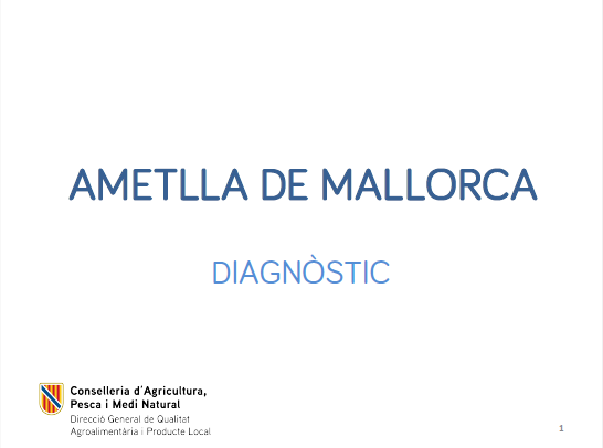 Diagnòstic de la IGP Ametlla de Mallorca 2023 - Entrades - Illes Balears - Productes agroalimentaris, denominacions d'origen i gastronomia balear