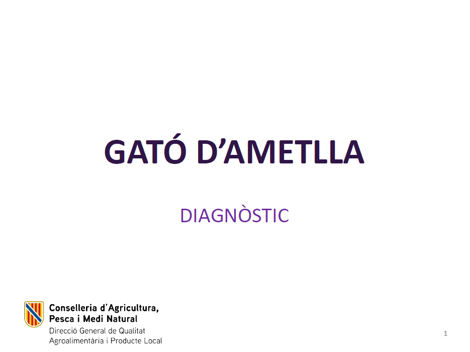 Diagnòstic del gató d'ametlla de les Illes Balears 2023 - Entrades - Illes Balears - Productes agroalimentaris, denominacions d'origen i gastronomia balear