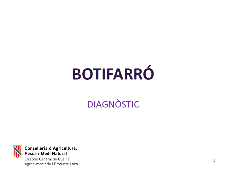 Diagnòstic del botifarró de les Illes Balears 2023 - Entrades - Illes Balears - Productes agroalimentaris, denominacions d'origen i gastronomia balear